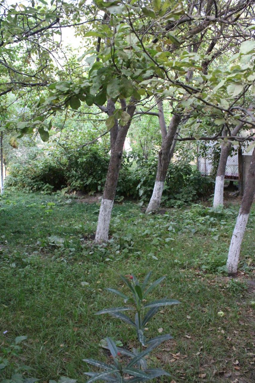 Riverside Khorog Exterior photo